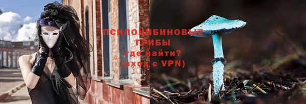 прущие крисы Балахна