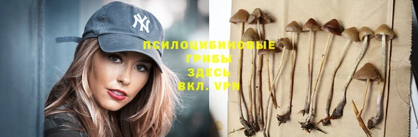 прущие крисы Аркадак