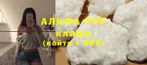 ПСИЛОЦИБИНОВЫЕ ГРИБЫ Баксан