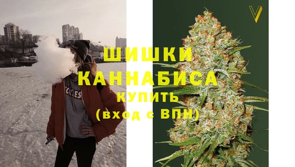 ПСИЛОЦИБИНОВЫЕ ГРИБЫ Баксан