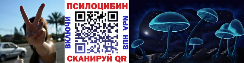 хочу   Бабаево  Псилоцибиновые грибы мухоморы 