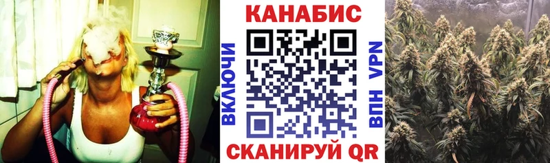 hydra как зайти  где можно купить   Бабаево  Бошки марихуана марихуана 